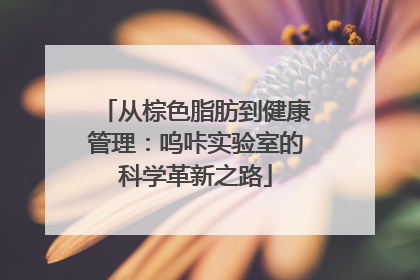 从棕色脂肪到健康管理：呜咔实验室的科学革新之路