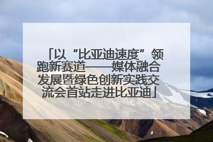 以“比亚迪速度”领跑新赛道——媒体融合发展暨绿色创新实践交流会首站走进比亚迪