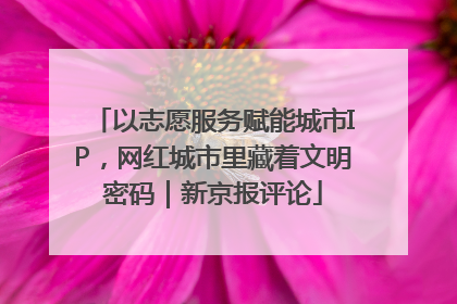 以志愿服务赋能城市IP，网红城市里藏着文明密码｜新京报评论