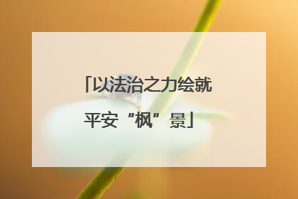 以法治之力绘就平安“枫”景