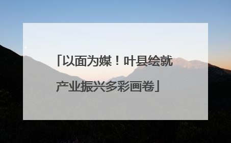 以面为媒！叶县绘就产业振兴多彩画卷