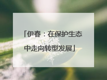 伊春：在保护生态中走向转型发展