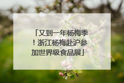 又到一年杨梅季！浙江杨梅赴沪参加世界级食品展
