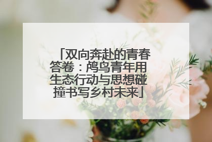 双向奔赴的青春答卷：鸬鸟青年用生态行动与思想碰撞书写乡村未来