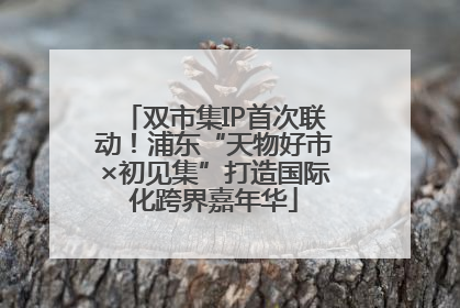 双市集IP首次联动！浦东“天物好市×初见集”打造国际化跨界嘉年华