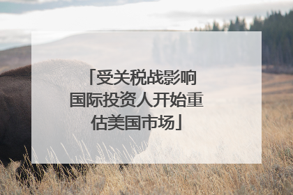 受关税战影响 国际投资人开始重估美国市场