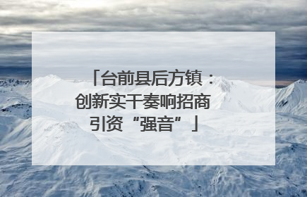 台前县后方镇：创新实干奏响招商引资“强音”