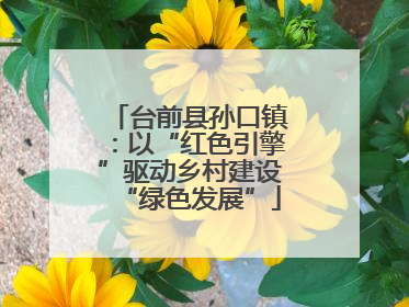 台前县孙口镇：以“红色引擎”驱动乡村建设“绿色发展”