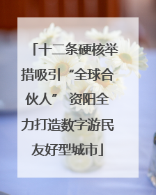 十二条硬核举措吸引“全球合伙人” 资阳全力打造数字游民友好型城市