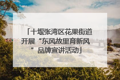 十堰张湾区花果街道开展“东风故里育新风”品牌宣讲活动