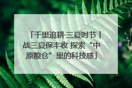 千里追耕·三夏时节丨战三夏保丰收 探索“中原粮仓”里的科技感