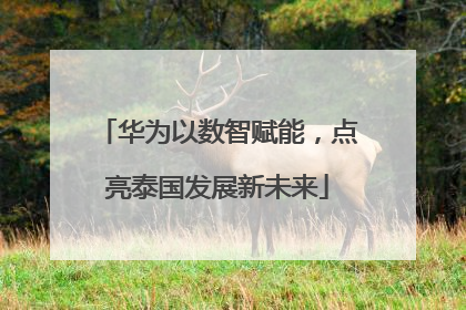 华为以数智赋能，点亮泰国发展新未来