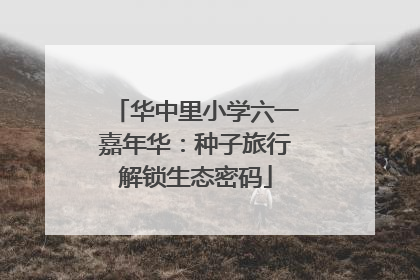 华中里小学六一嘉年华：种子旅行解锁生态密码