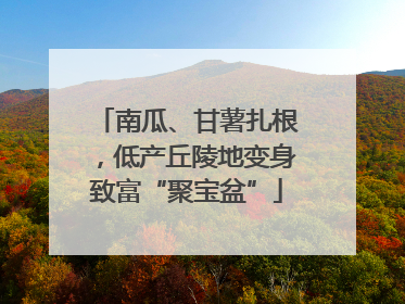 南瓜、甘薯扎根，低产丘陵地变身致富“聚宝盆”