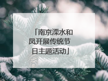 南京溧水和凤开展传统节日主题活动