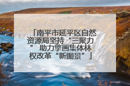 南平市延平区自然资源局坚持“三聚力” 助力擎画集体林权改革“新图景”