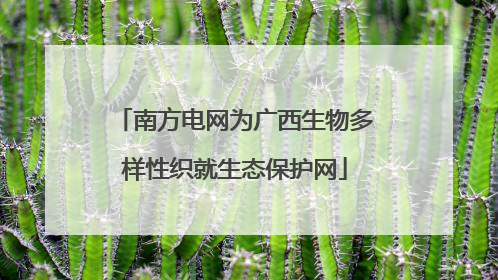 南方电网为广西生物多样性织就生态保护网
