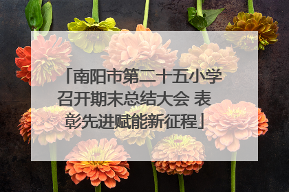 南阳市第二十五小学召开期末总结大会 表彰先进赋能新征程