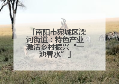 南阳市宛城区溧河街道：特色产业激活乡村振兴“一池春水”
