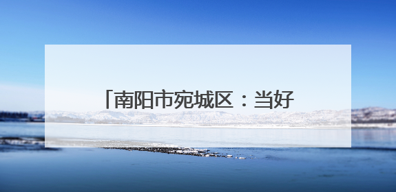 南阳市宛城区：当好民意“传声筒” 做好改造“监督员”