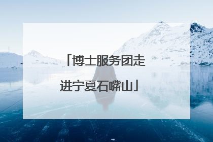 博士服务团走进宁夏石嘴山