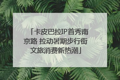 卡皮巴拉IP首秀南京路 拉动暑期步行街文旅消费新热潮