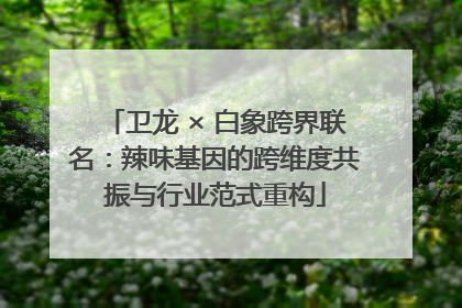 卫龙 × 白象跨界联名：辣味基因的跨维度共振与行业范式重构