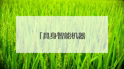 具身智能机器人4S店来了，未来能像买车一样买机器人？