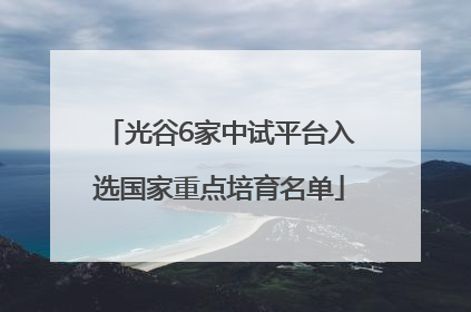 光谷6家中试平台入选国家重点培育名单