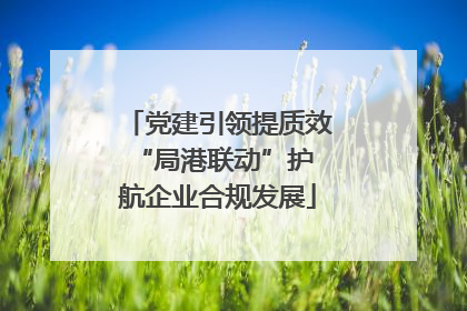 党建引领提质效 “局港联动”护航企业合规发展
