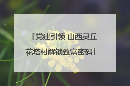 党建引领 山西灵丘花塔村解锁致富密码