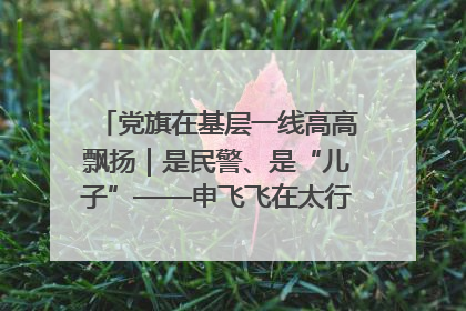 党旗在基层一线高高飘扬｜是民警、是“儿子”——申飞飞在太行山中的一线坚守
