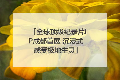 全球顶级纪录片IP成都首展 沉浸式感受极地生灵