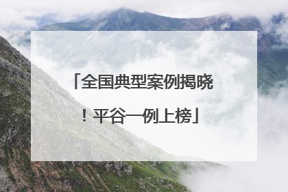 全国典型案例揭晓！平谷一例上榜