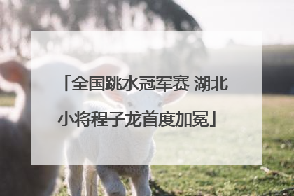 全国跳水冠军赛 湖北小将程子龙首度加冕