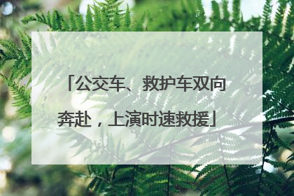 公交车、救护车双向奔赴，上演时速救援