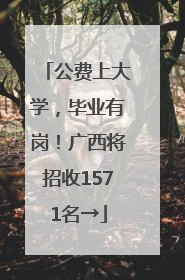 公费上大学，毕业有岗！广西将招收1571名→