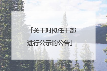关于对拟任干部进行公示的公告