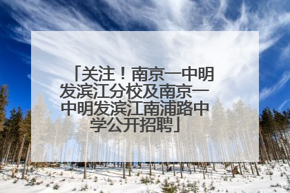 关注！南京一中明发滨江分校及南京一中明发滨江南浦路中学公开招聘