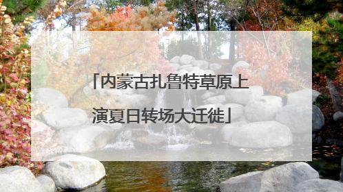 内蒙古扎鲁特草原上演夏日转场大迁徙