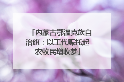 内蒙古鄂温克族自治旗：以工代赈托起农牧民增收梦