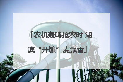 农机轰鸣抢农时 湖滨“开镰”麦飘香