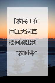 农民工在同江大岗直播间刷出新“农时令”
