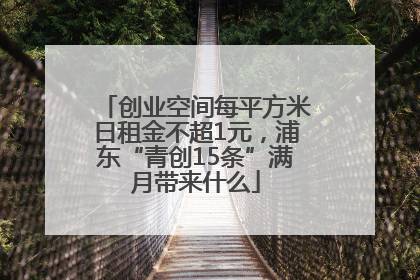 创业空间每平方米日租金不超1元，浦东“青创15条”满月带来什么