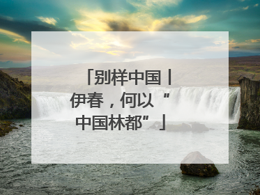 别样中国丨伊春，何以“中国林都”
