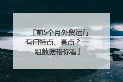 前5个月外贸运行有何特点、亮点？一组数据带你看
