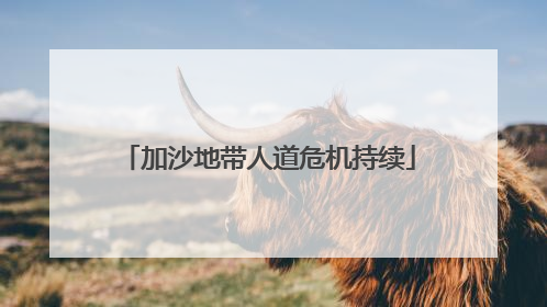 加沙地带人道危机持续