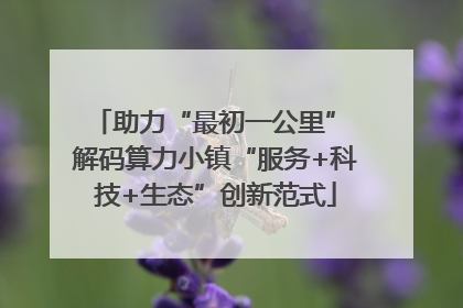 助力“最初一公里” 解码算力小镇“服务+科技+生态”创新范式