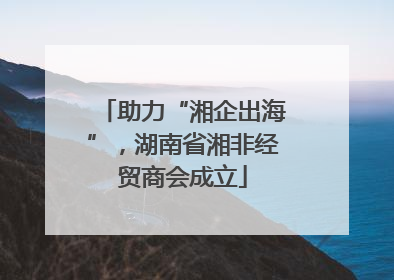 助力“湘企出海”，湖南省湘非经贸商会成立