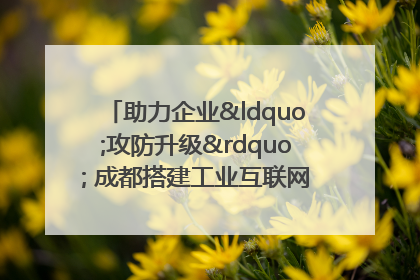 助力企业“攻防升级” 成都搭建工业互联网安全供需对接平台